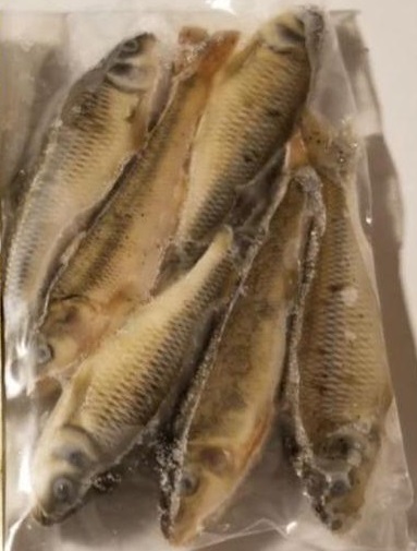 Ménés ruisseau congelés 4 pouces